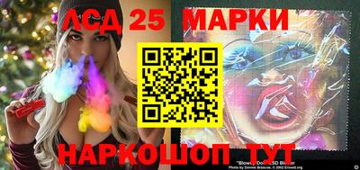 гашик Камышлов