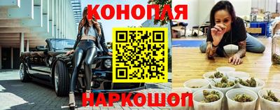гашик Камышлов