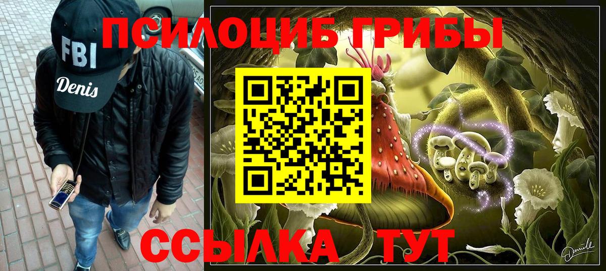 Псилоцибиновые грибы Magic Shrooms  Вход с VPN  наркота  Краснознаменск  Галлюциногенные грибы Cubensis 